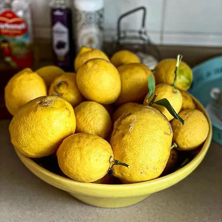 ヴィラ Fenomenale Met Groot Prive Zwembad Casa Merle デニア