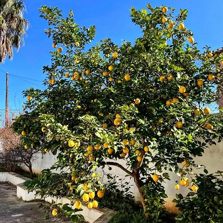 Fenomenale Met Groot Prive Zwembad Casa Merle *