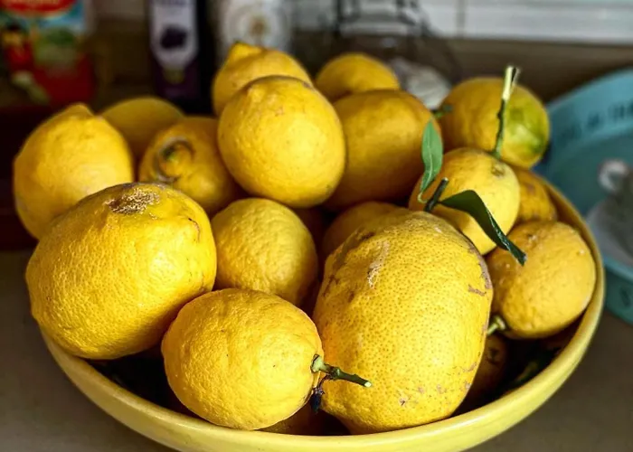 Villa Fenomenale Met Groot Privé Zwembad Casa Merle Dénia