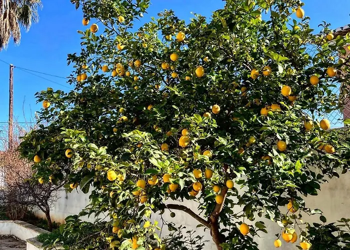 Fenomenale Met Groot Privé Zwembad Casa Merle *